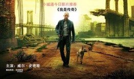 我是传奇免费在线观看,重温孤独英雄的传奇之旅